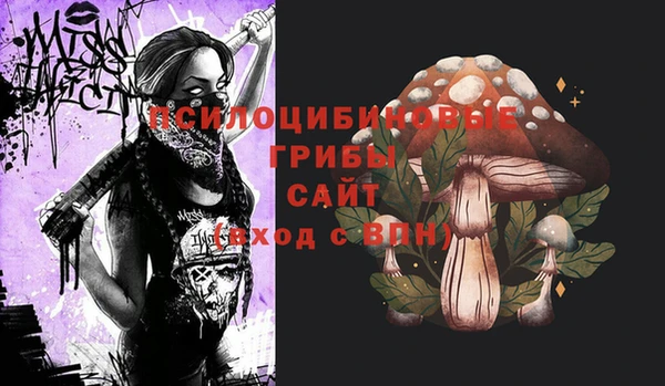 Альфа ПВП Абаза
