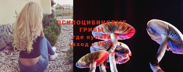 Альфа ПВП Абаза