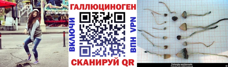 Галлюциногенные грибы прущие грибы  Искитим 