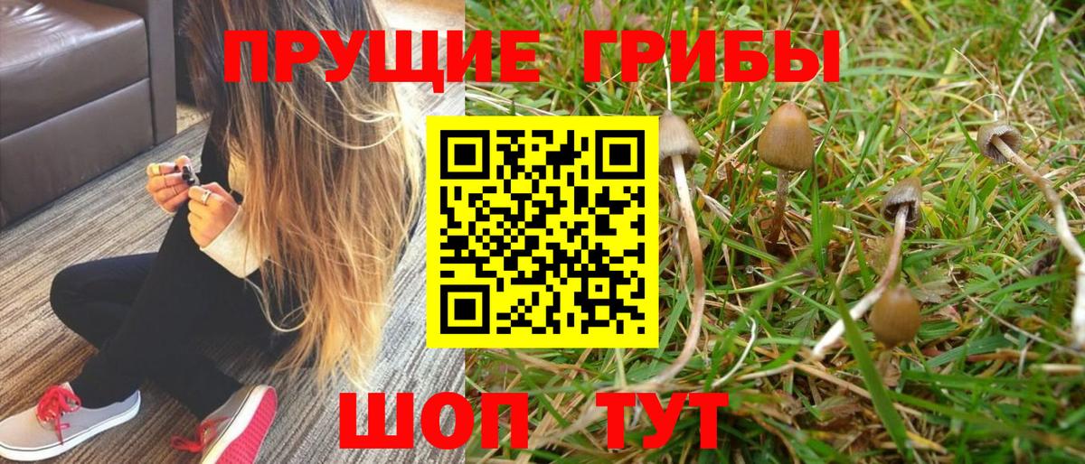 Галлюциногенные грибы GOLDEN TEACHER Искитим