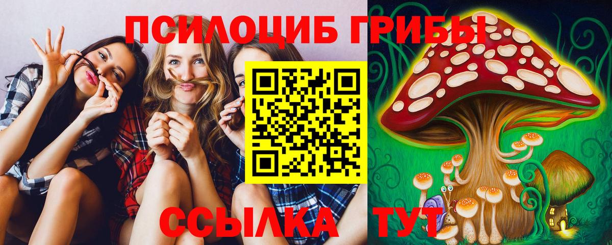 Галлюциногенные грибы Psilocybe  Галлюциногенные грибы прущие грибы  Искитим  Вход с VPN 